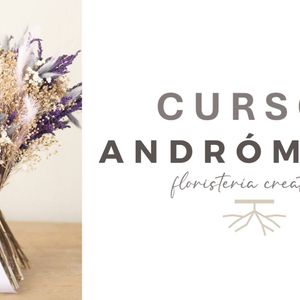 curso-de-arreglos-de-ramos