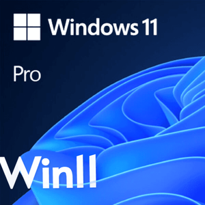windows11pro