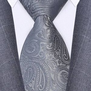 Cravate grise pour hommes