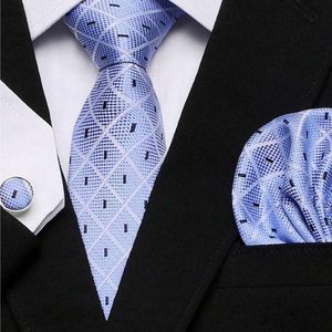 Cravates à carreaux bleus pour hommes
