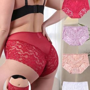 Lot de 4 culottes sexy élégantes en dentelle semi-transparente