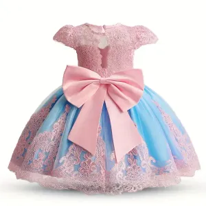 Robe de princesse élégante en dentelle brodée pour petite fille
