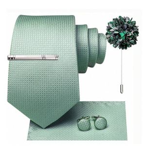 Ensemble cravate pour hommes