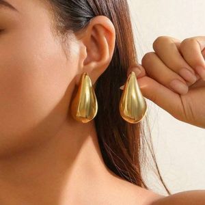 1 paire de boucles d'oreilles dorées galvanisées sous vide en résine acrylique CCB