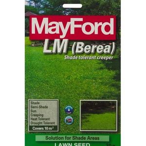 Mayford LM Grass Berea 30 g