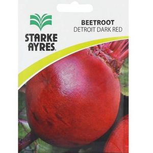Graines de betterave Starke Ayres