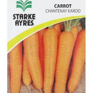 Graines de carotte Kuroda Starke Ayres, sachet plastique