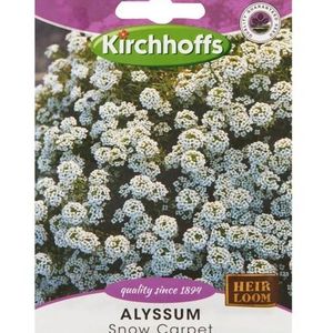 Fleurs Kirchhoffs Pic/Pack 150 x 100 x 0,6 mm