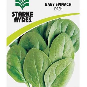 Graines d'épinard Starke Ayres, sachet plastique