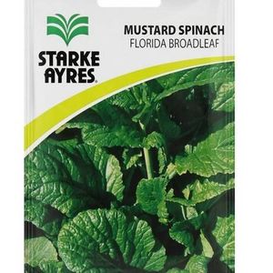 Graines d'épinards à feuilles larges de Floride Starke Ayres Moutarde