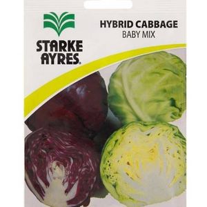 Graines de chou Starke Ayres