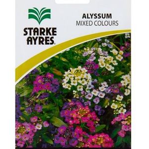 Graines de fleurs d'été Starke Ayres, sachet en polyéthylène