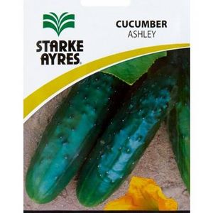 Graines de concombre Starke Ayres, sachet plastique