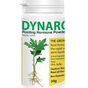 Poudre d'hormone d'enracinement Dynaroot N° 2 30g