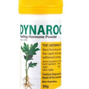 Poudre d'hormone d'enracinement Dynaroot N° 1 30g
