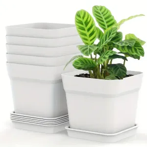 Lot de 6 jardinières carrées en plastique de 15,24 cm avec trous de drainage et plateaux