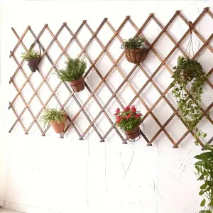 Pergola rétractable réglable en bois de cèdre