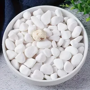 500g Galets blancs décoratifs pour jardins et aquariums