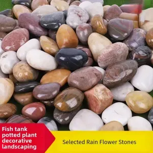 1kg de Galets en pierre naturelle aux couleurs vives