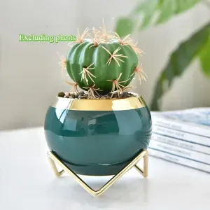 Ensemble de pots de fleurs en céramique pour plantes succulentes