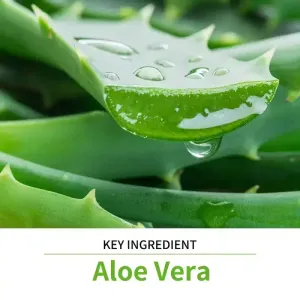 Le coffret de soins à l'aloe vera Lakerain comprend un nettoyant visage