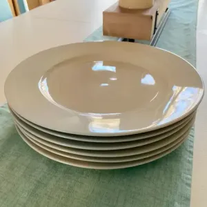 Porcelain Dinner Plate 10.5in - Family Pack