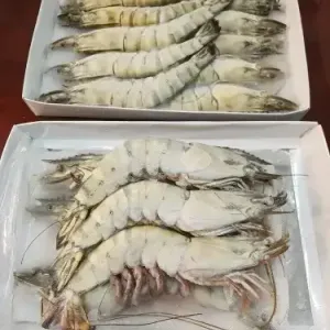 Frozen Black Tiger Shrimp 21/25 1kg - Retail Pack