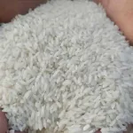 Premium Atop Rice 5kg - Premium